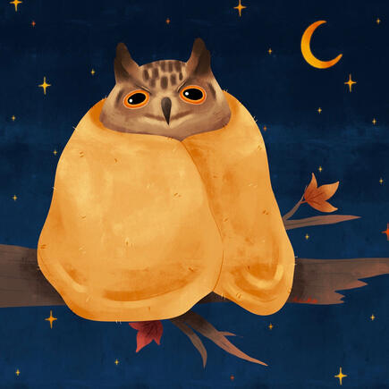 night owl